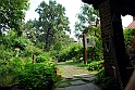 Borgo e Rocca Medioevale_126
